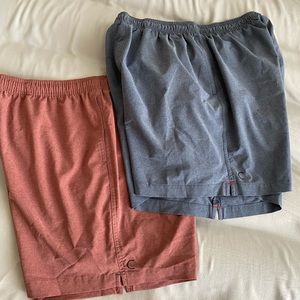 2 Chubbies Hybrid shorts